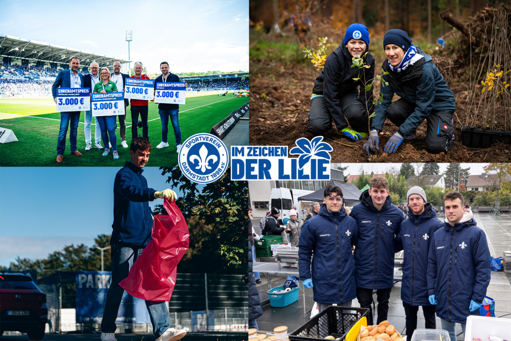 Im Zeichen Der Lilie Das Jahr 2024 BundesligaWIRKT